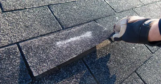 Asphalt Shingles Show Signs of Wind Damage